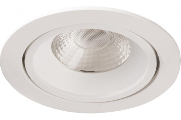 Downligt LED blanc 10 W 4000°K orientable